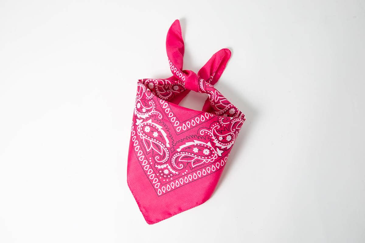 Pink Cowgirl 4-Piece Costume Outfit