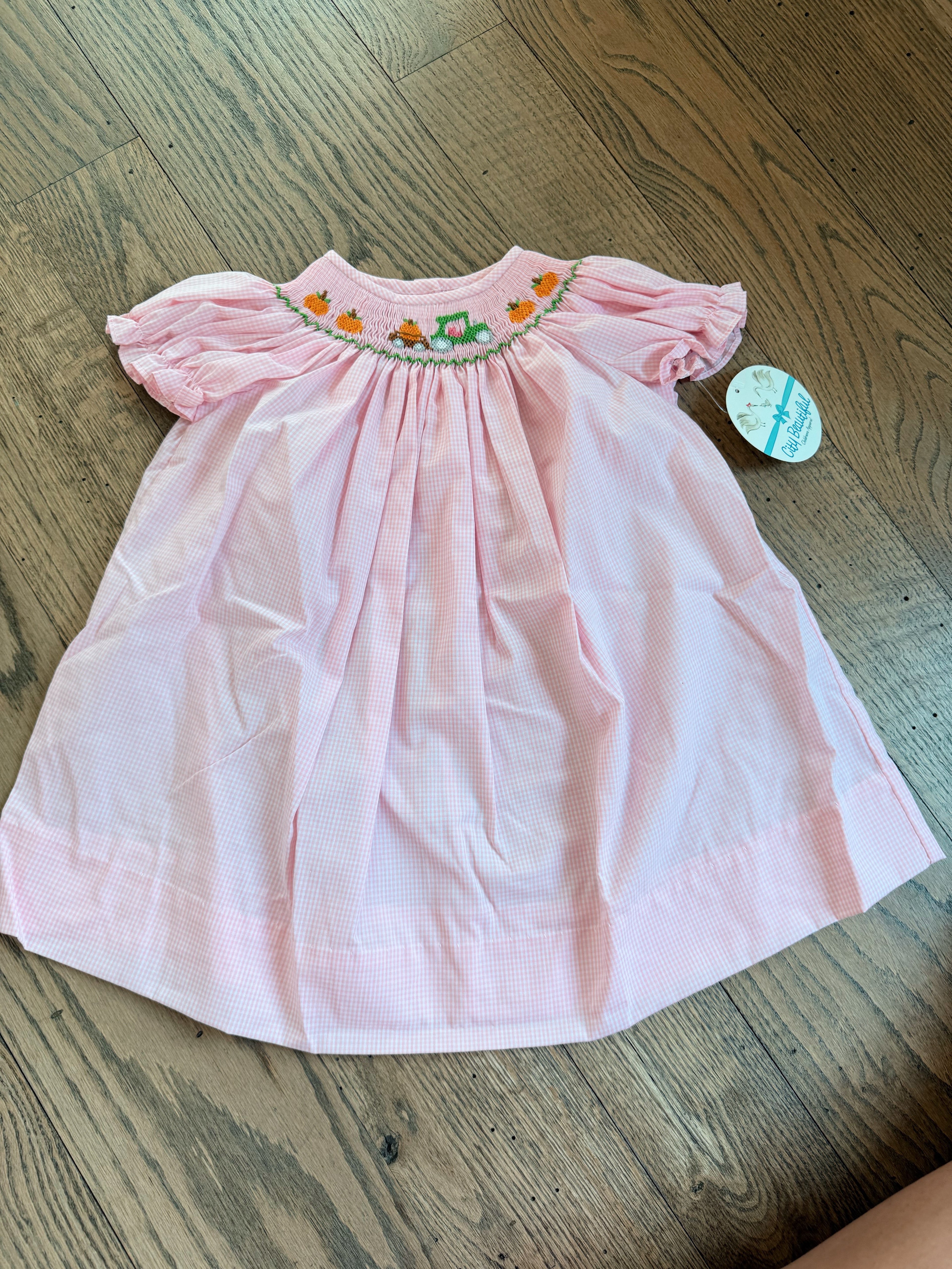 Smocked Pumpkin Dress