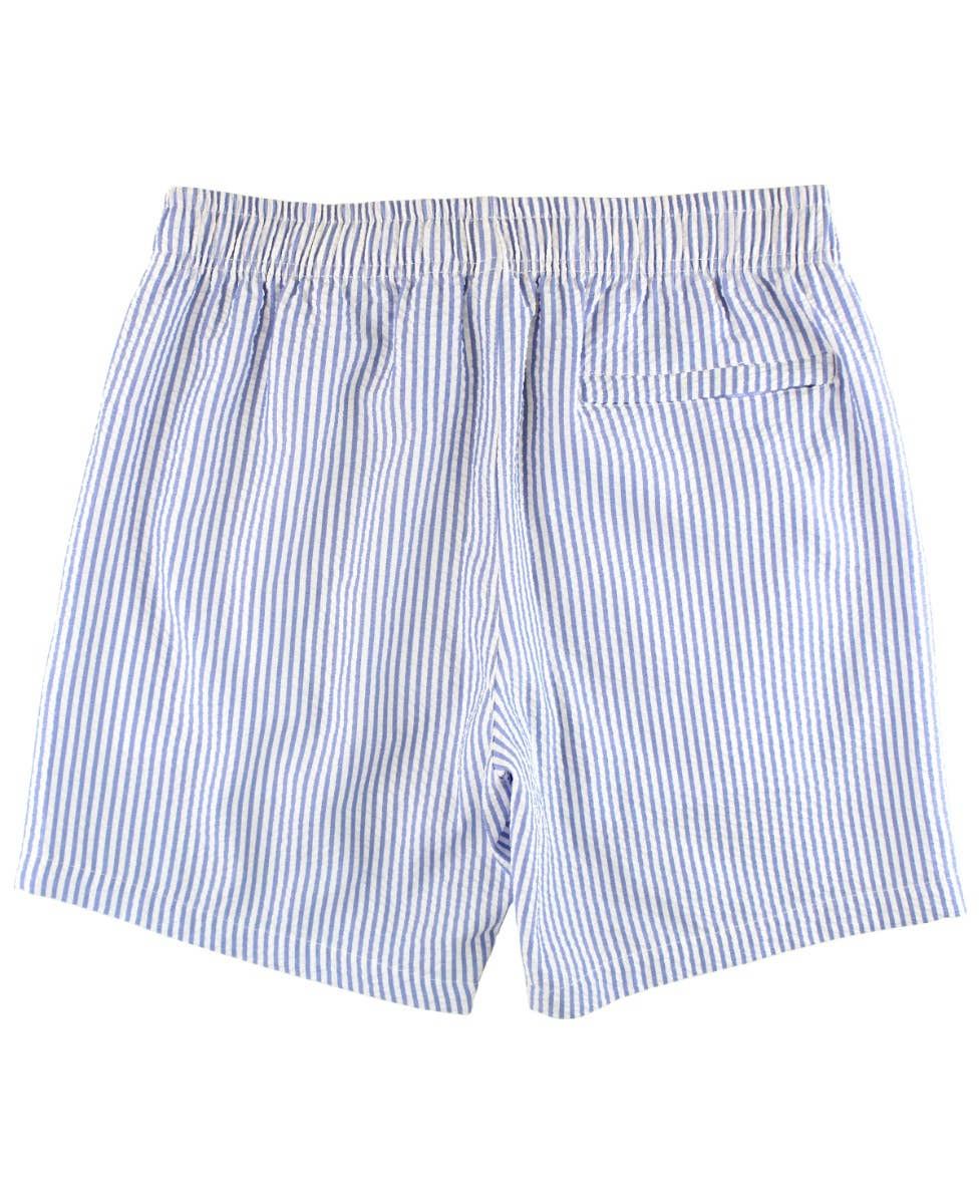 Periwinkle Blue Seersucker Men's Swim Trunks